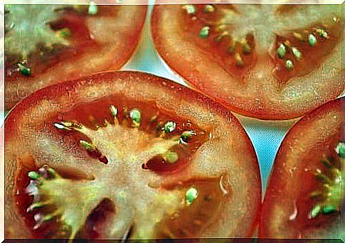 tomatoes