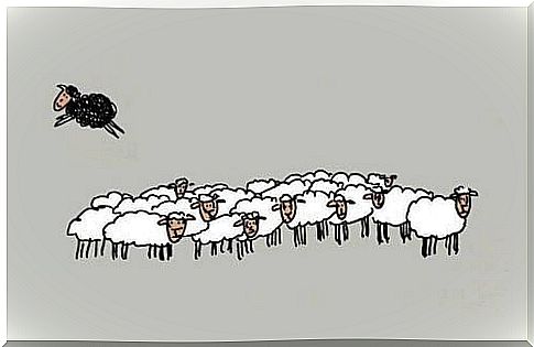 4 reasons why being the black sheep isn't bad at all