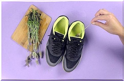 Lavender against bad shoe odor