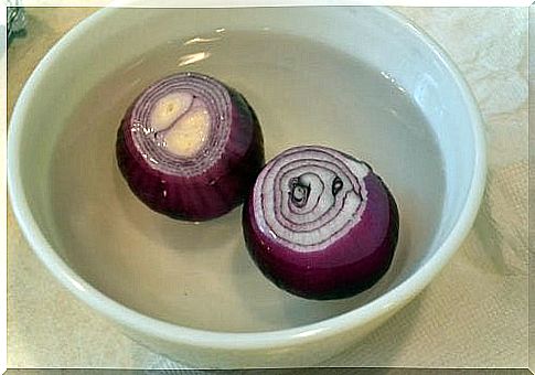 Onion in water bowl