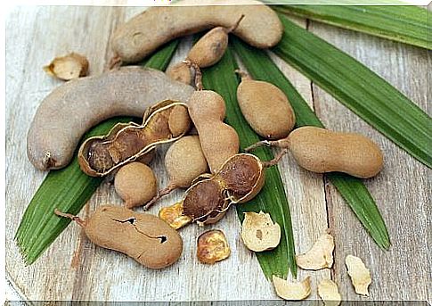 Tamarind for fatty liver