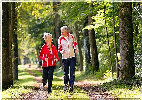 Couple runs in the forest and talks about new ideas