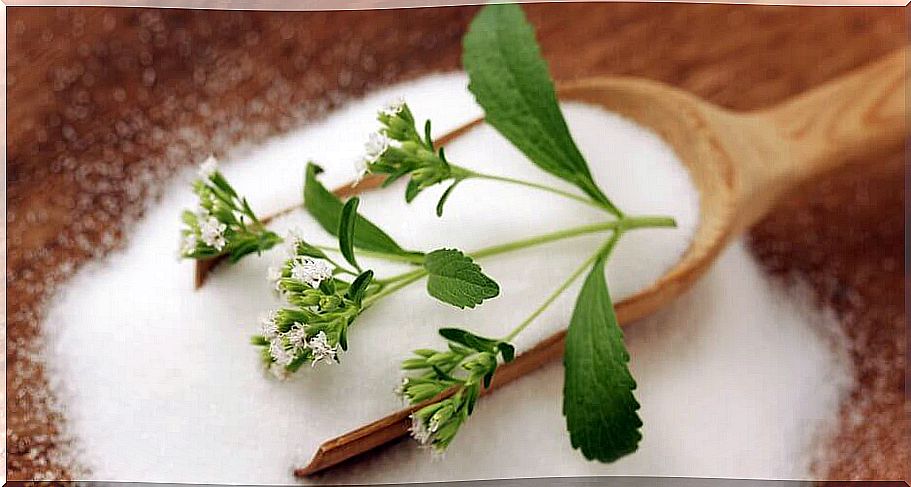 Stevia, a natural treatment for diabetes