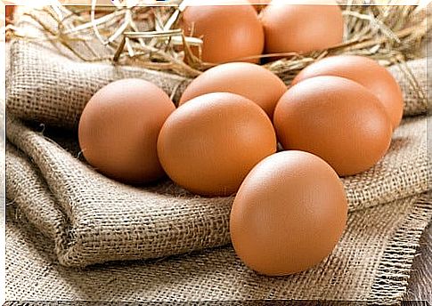 Chicken eggs 