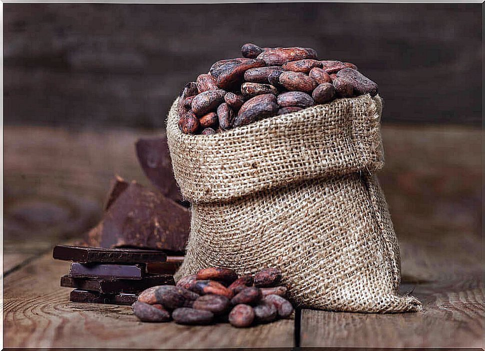 You can reduce your anxiety by including cocoa in your diet