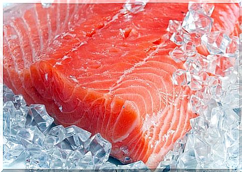 salmon