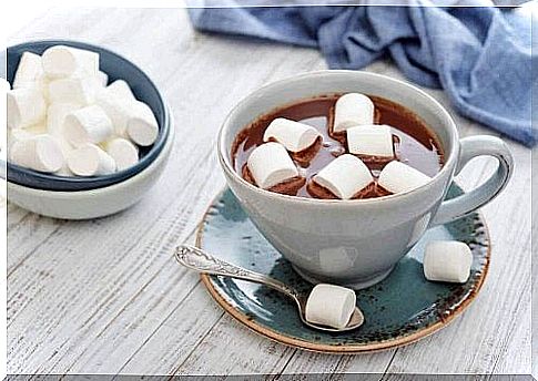 Little ones with a sweet tooth will love the hot chocolate with marshmallows