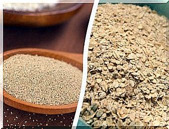 Brewer's yeast oats