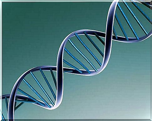 Changes in the genome of a virus