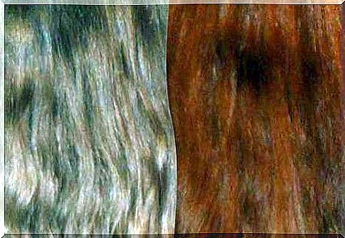 Color hair with natural extracts