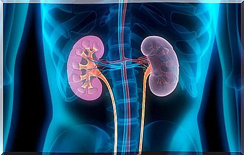 Detoxify kidneys naturally