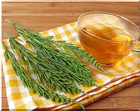 Detoxify kidneys naturally with horsetail