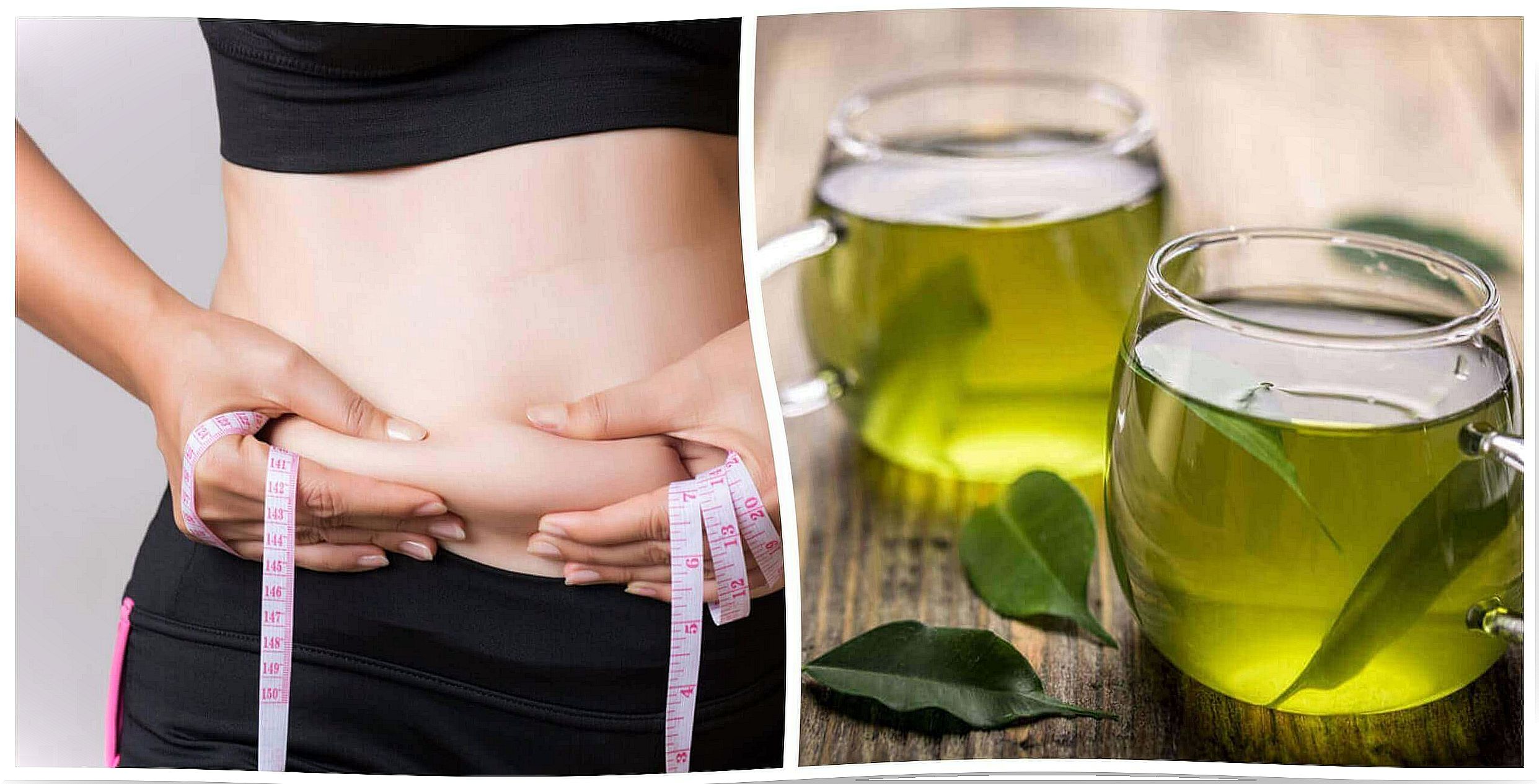 Lifespan - Green Tea for Weight Loss