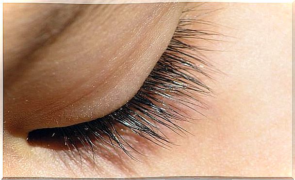 Dreamlike eyelashes: natural care