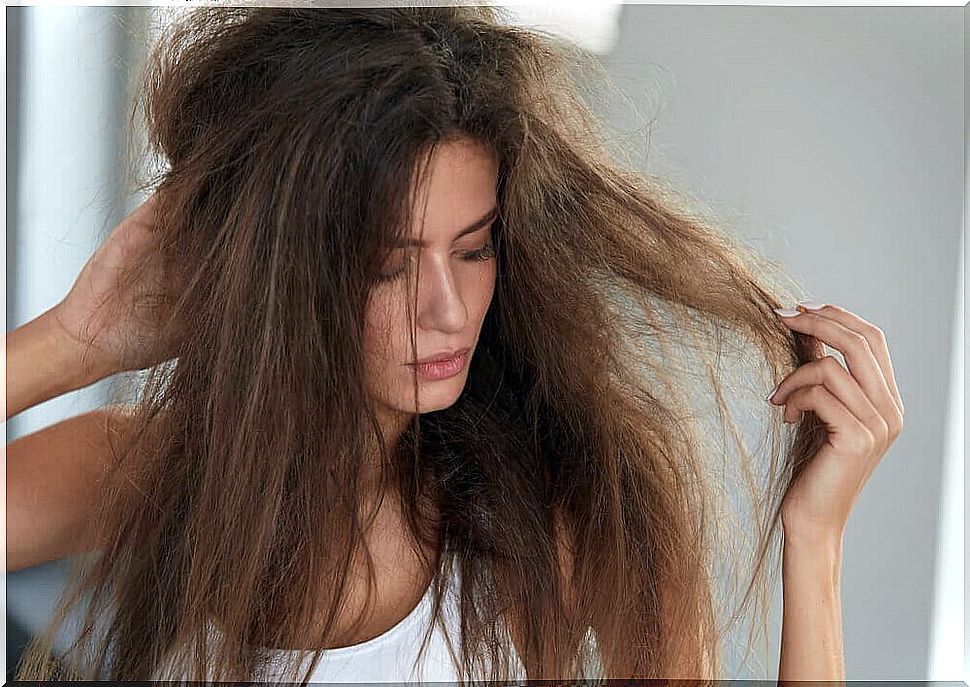 Masks with egg for dry hair