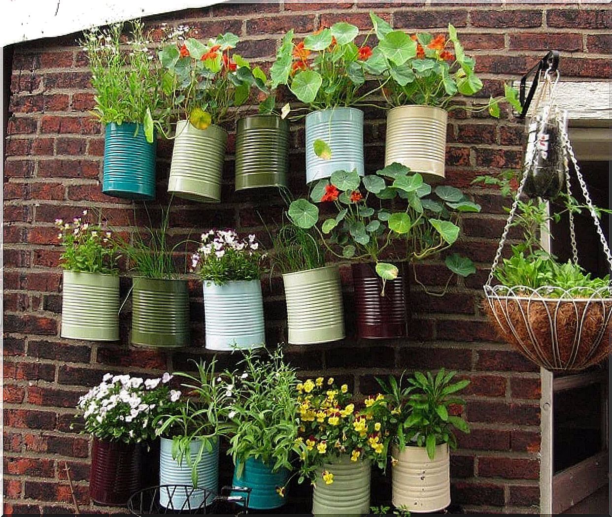 Hanging planters - urban garden