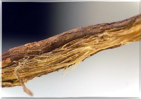 Licorice root