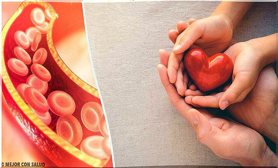 Interesting facts about cholesterol