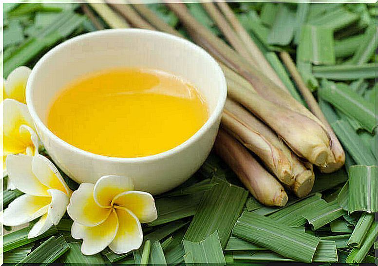 Lemongrass Tea - Cup