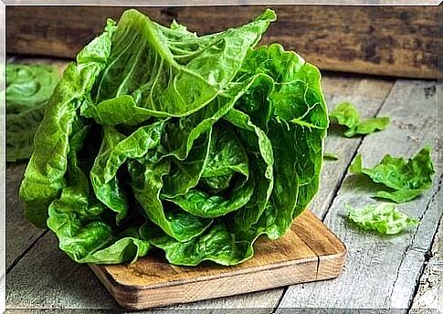 Head of lettuce