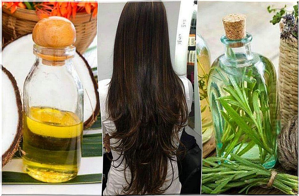 Nourishing oils for the hair