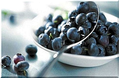 Plant blueberries properly