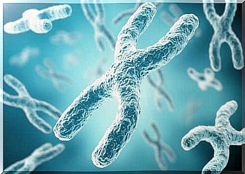 Prelingual Deafness - Chromosomes