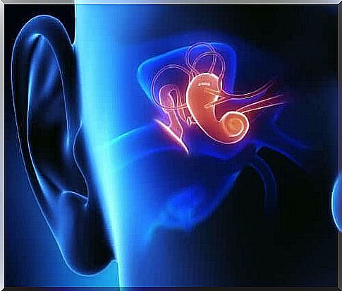 Prelingual Deafness - Image Hearing