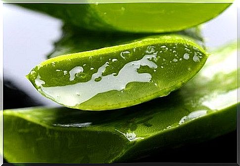 Properties of aloe vera