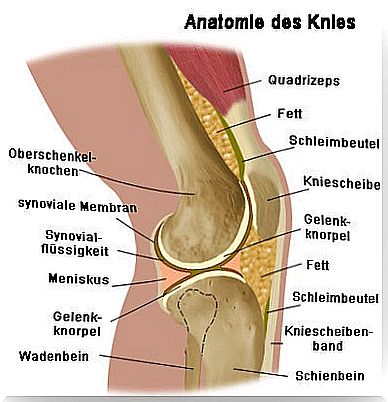 Remedies for knee pain and how it develops