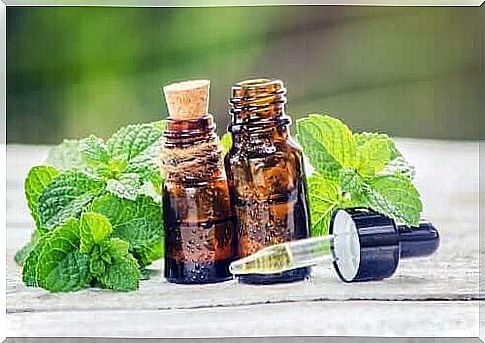 Rosemary and nettle for healthy hair