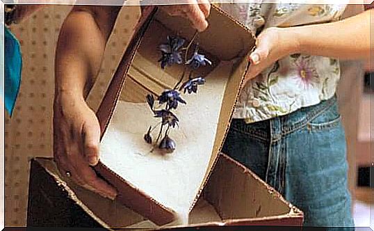 Silica gel - drying flowers