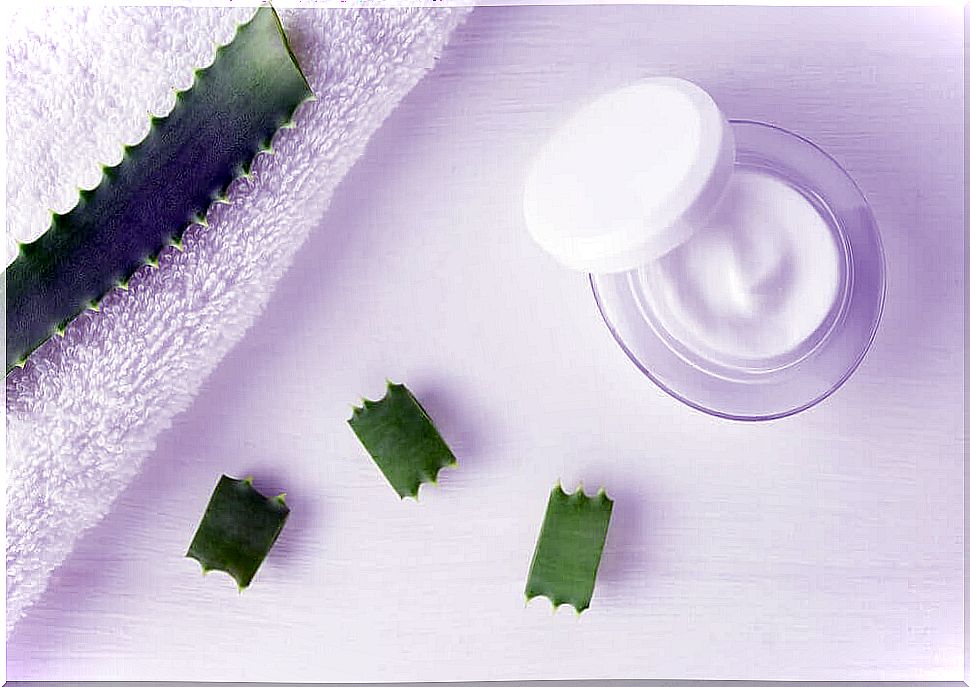 Simply prepare regenerating skin cream with aloe vera yourself!