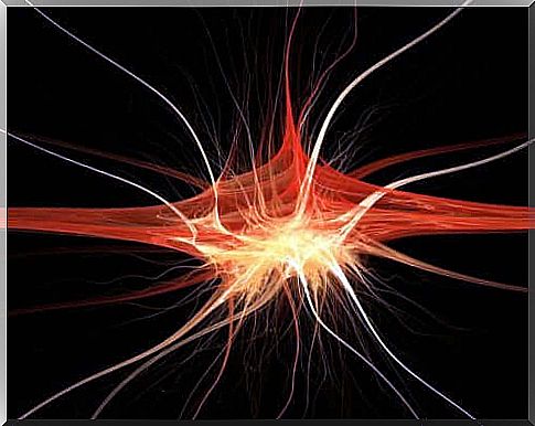 Nerves of the hand: median nerve