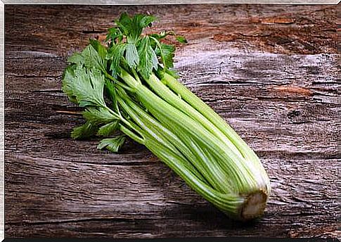 Celery can cause allergies