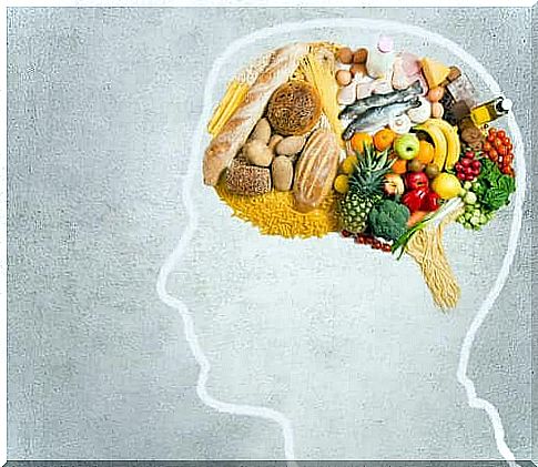 What fat does the brain need?