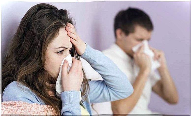 What to do if you have the flu