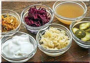 Should we consume fermented foods for health reasons?